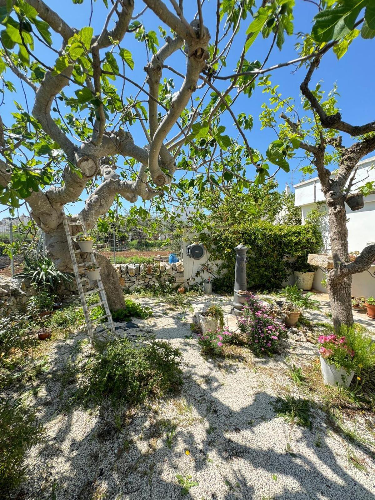 Trulli Resort Aia Piccola Alberobello Exterior photo
