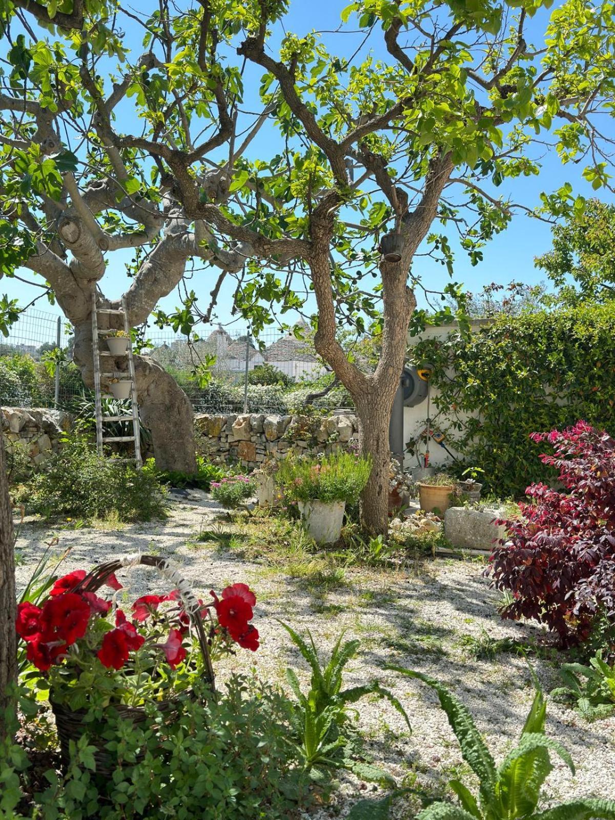 Trulli Resort Aia Piccola Alberobello Exterior photo